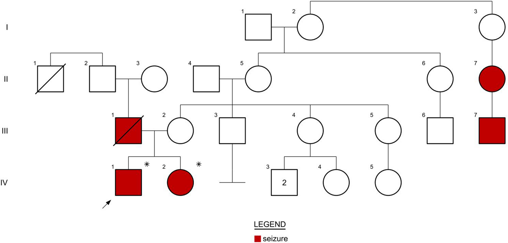 Phenotypic variability and preserved cognition in a family with related developmental epileptic encephalopathy