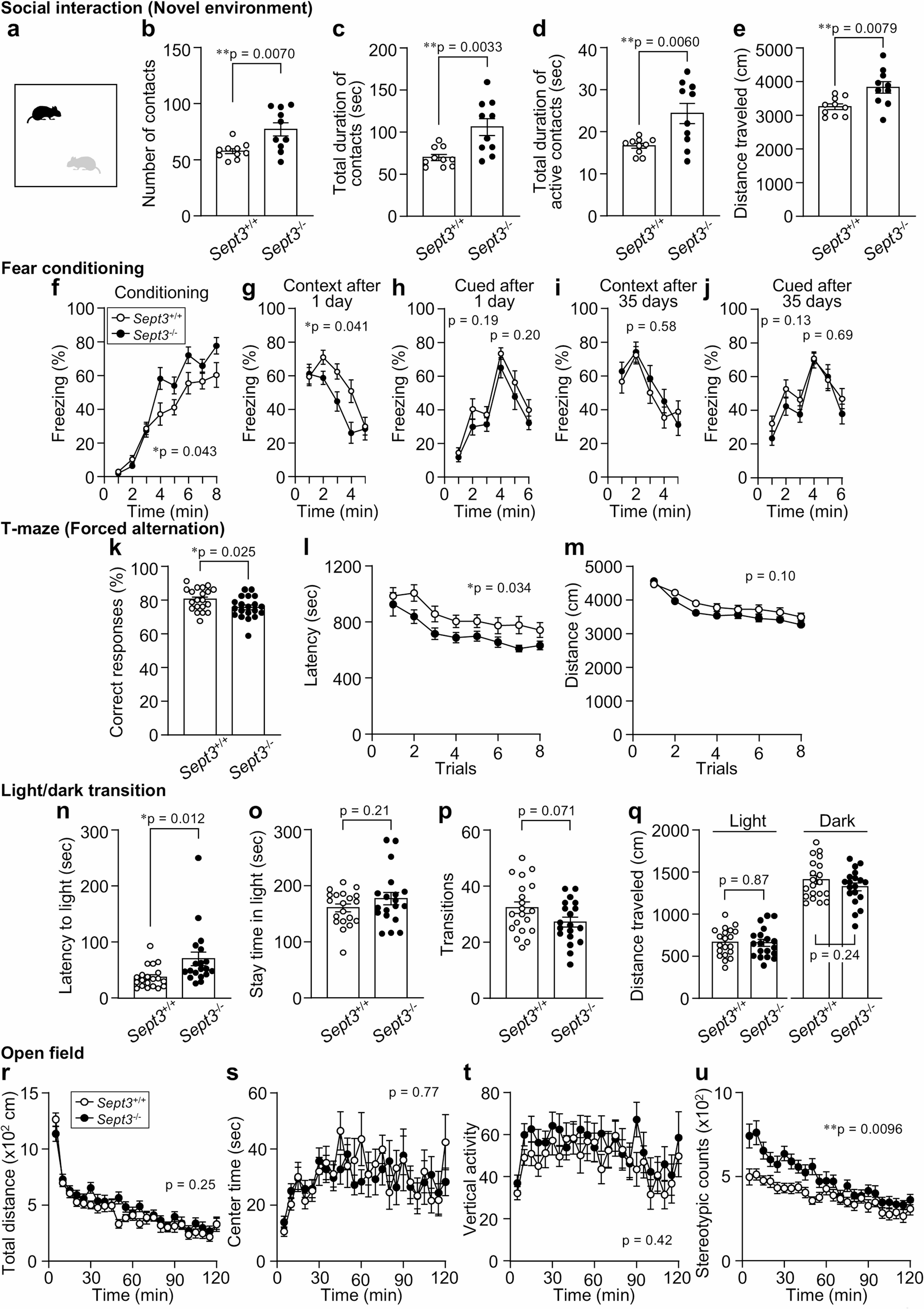 Comprehensive behavioral phenotyping of male Septin 3-deficient mice reveals task-specific abnormalities