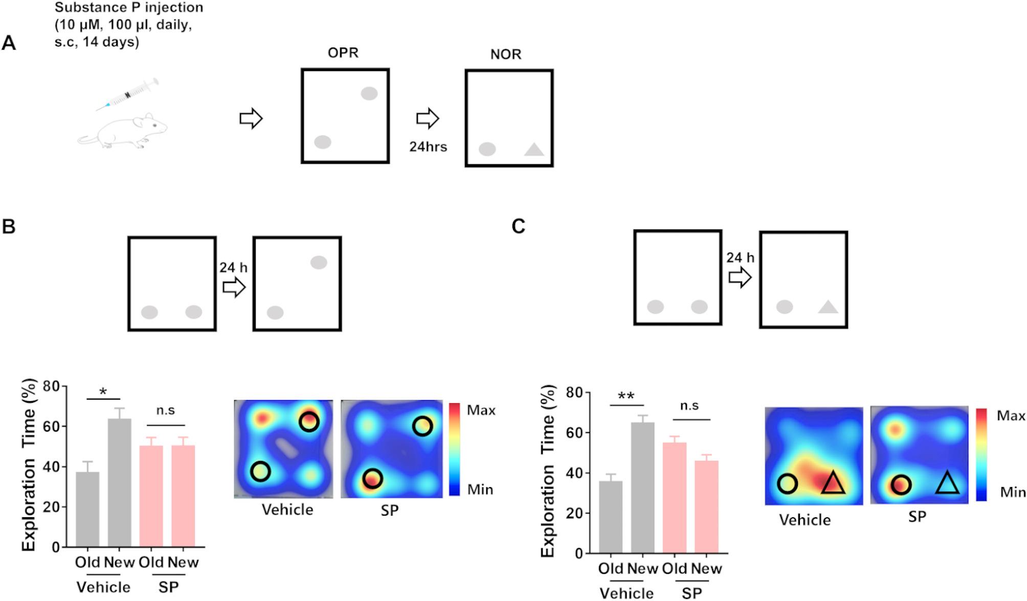 Peripheral substance P induces deficits in hippocampal synaptic plasticity and memory