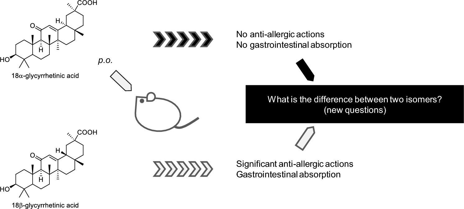 Anti-allergic actions and pharmacokinetics of orally administered 18α-glycyrrhetinic acid and 18β-glycyrrhetinic acid in mice