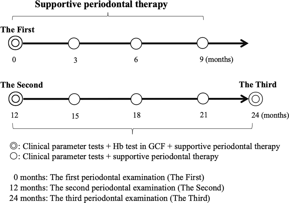 Evaluation of inflammatory periodontal tissue by detecting the hemoglobin released in gingival crevicular fluid during supportive periodontal therapy