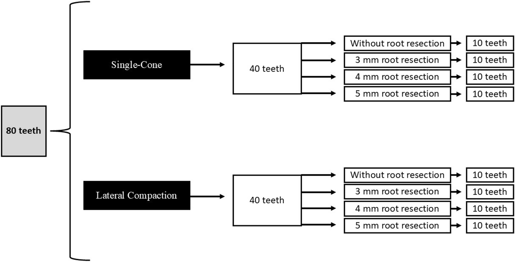 Influence of apical root resection level and filling technique on the fracture resistance of endodontically treated teeth: a biomechanical study
