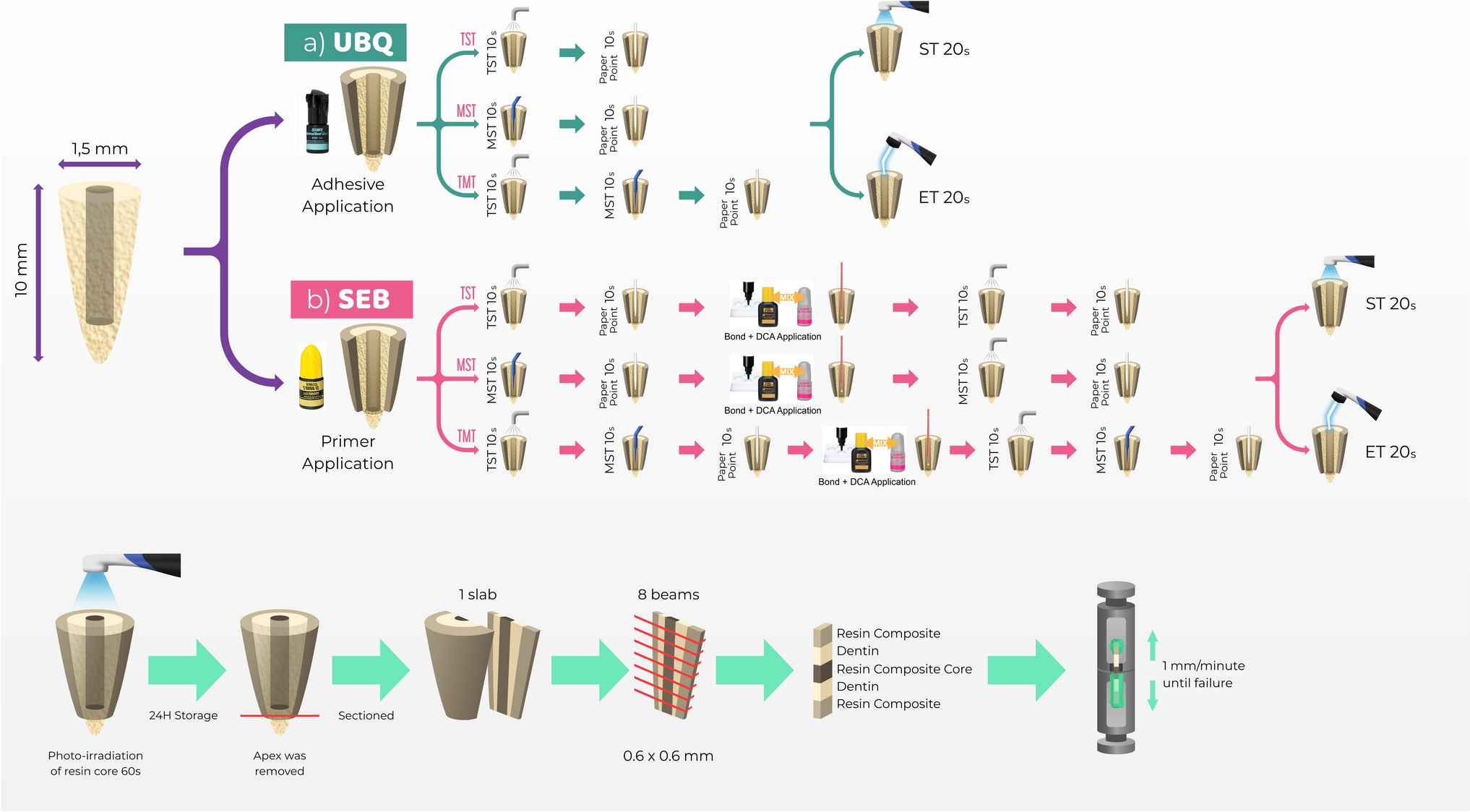 Effect of solvent evaporation and photo-irradiation strategy of contact-cure adhesive system on bonding to root canal