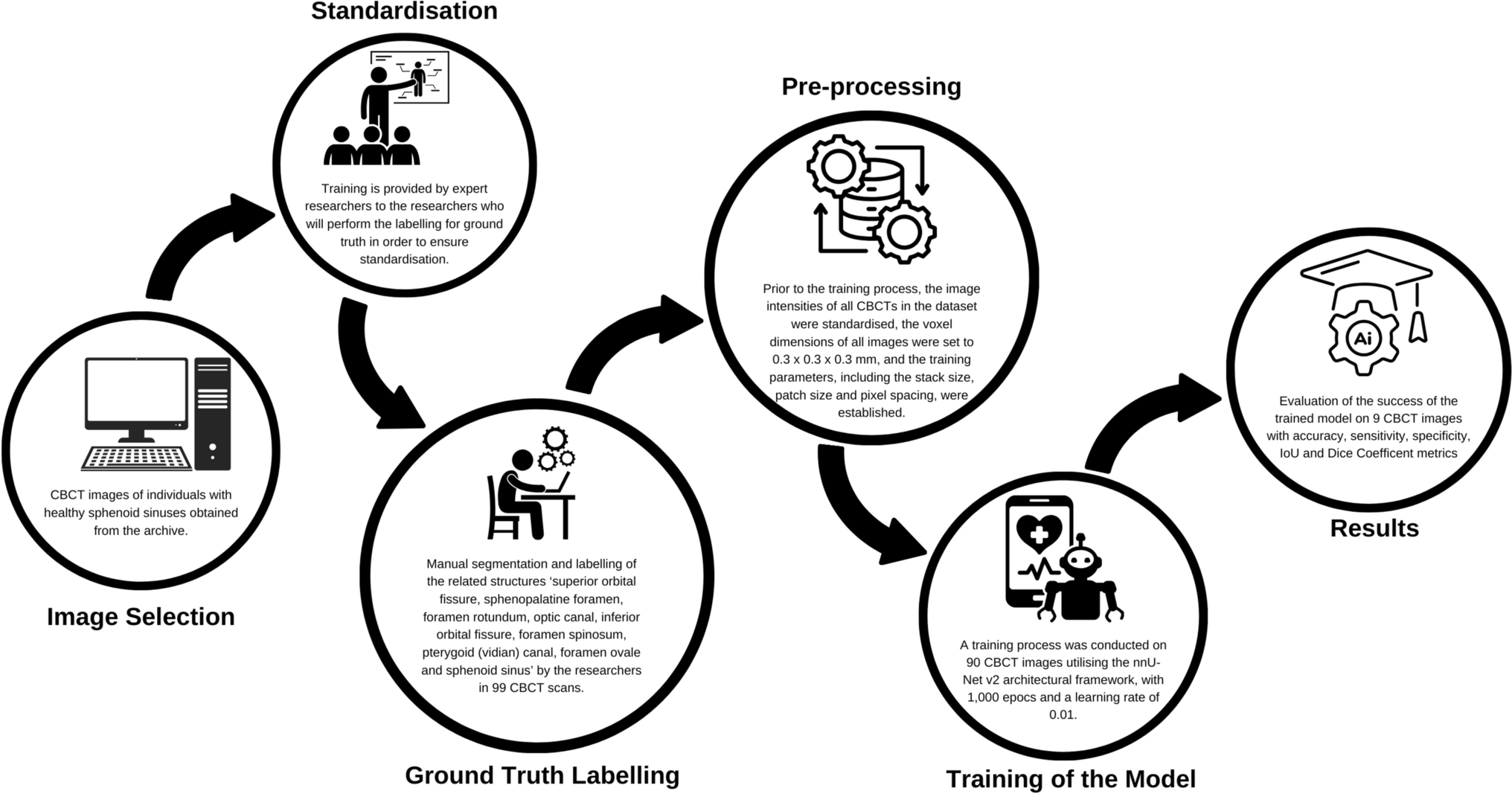 Deep learning model for automated segmentation of sphenoid sinus and middle skull base structures in CBCT volumes using nnU-Net v2