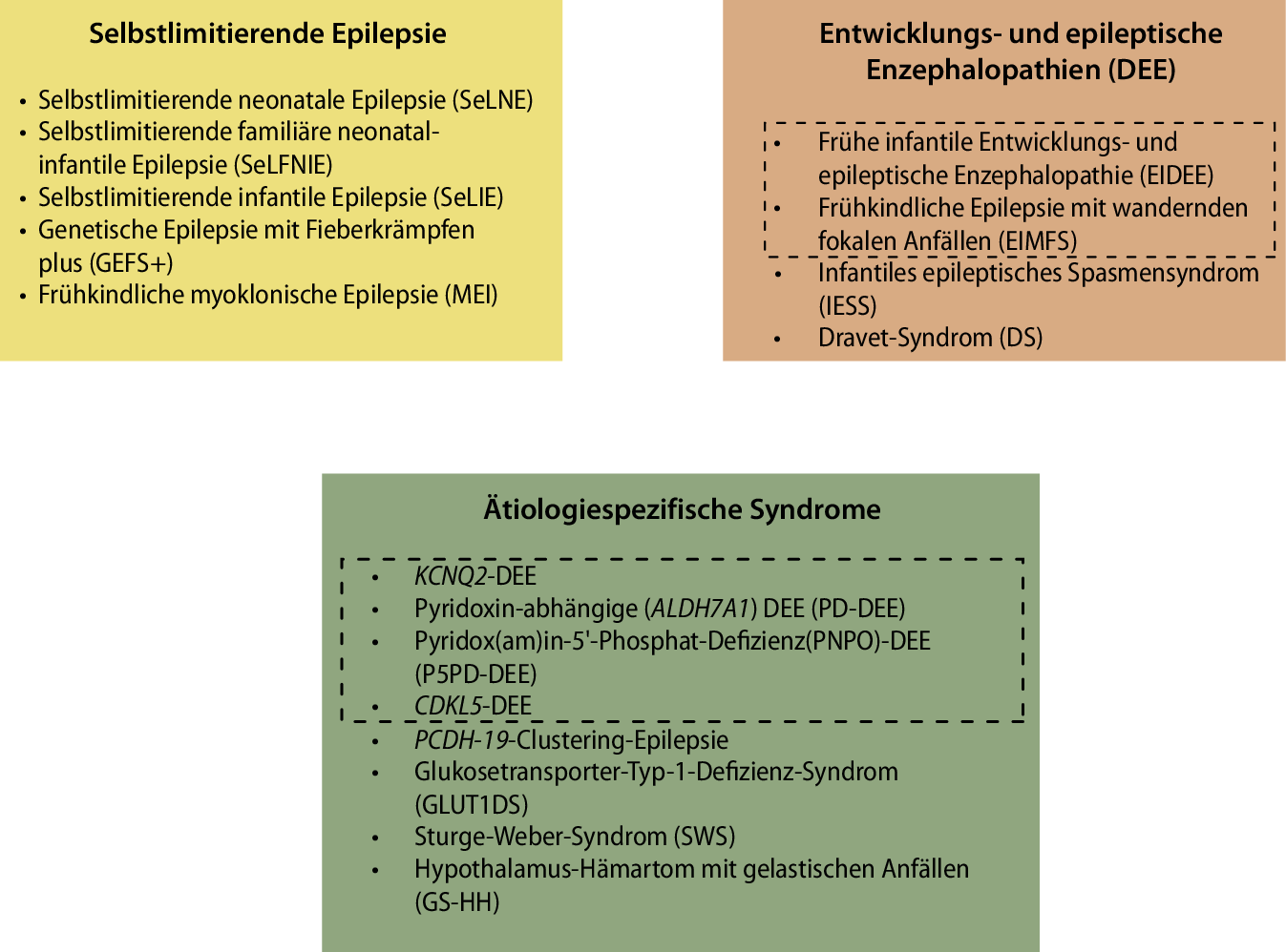 Neonatale Entwicklungs- und epileptische Enzephalopathien