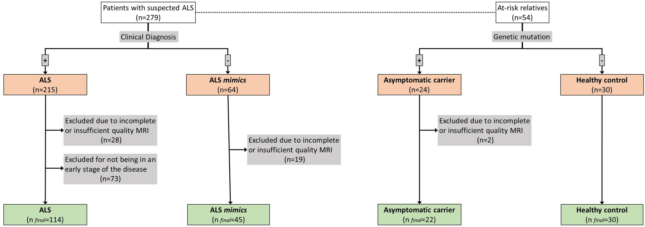 Machine learning diagnostic model for amyotrophic lateral sclerosis analysis using MRI-derived features