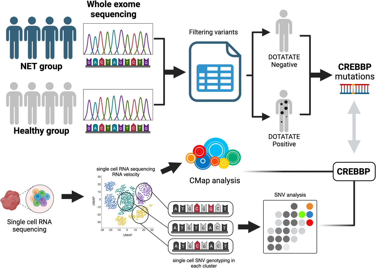 CREBBP Mutation as a Culprit for Negative SSTR2 PET in Neuroendocrine Tumors