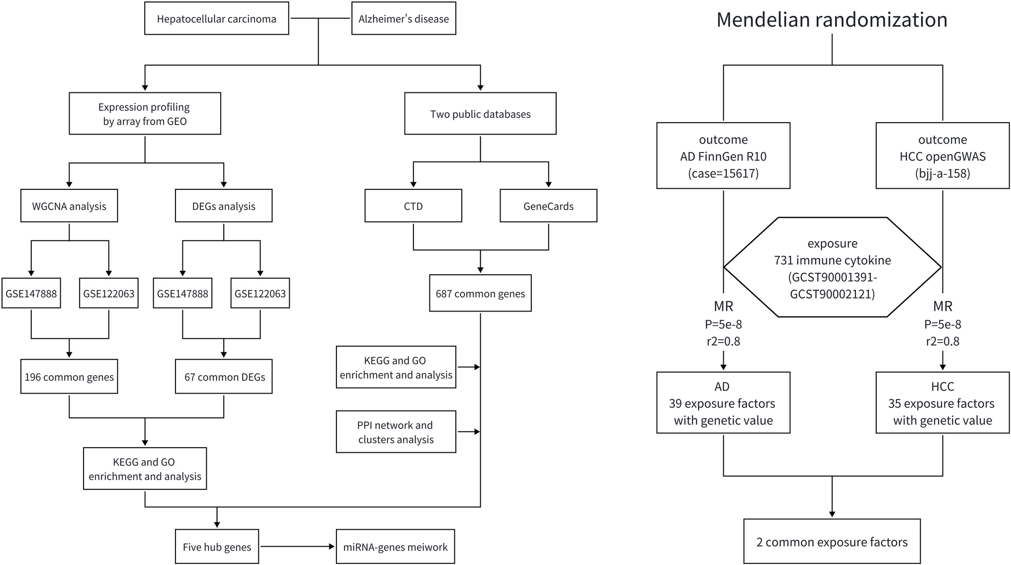 Mendelian Randomization in Conjunction with WGCNA Was Employed to Investigate the Potential Role of the Liver-Brain Axis in the Pathogenesis of Hepatocellular Carcinoma and Alzheimer’s Disease