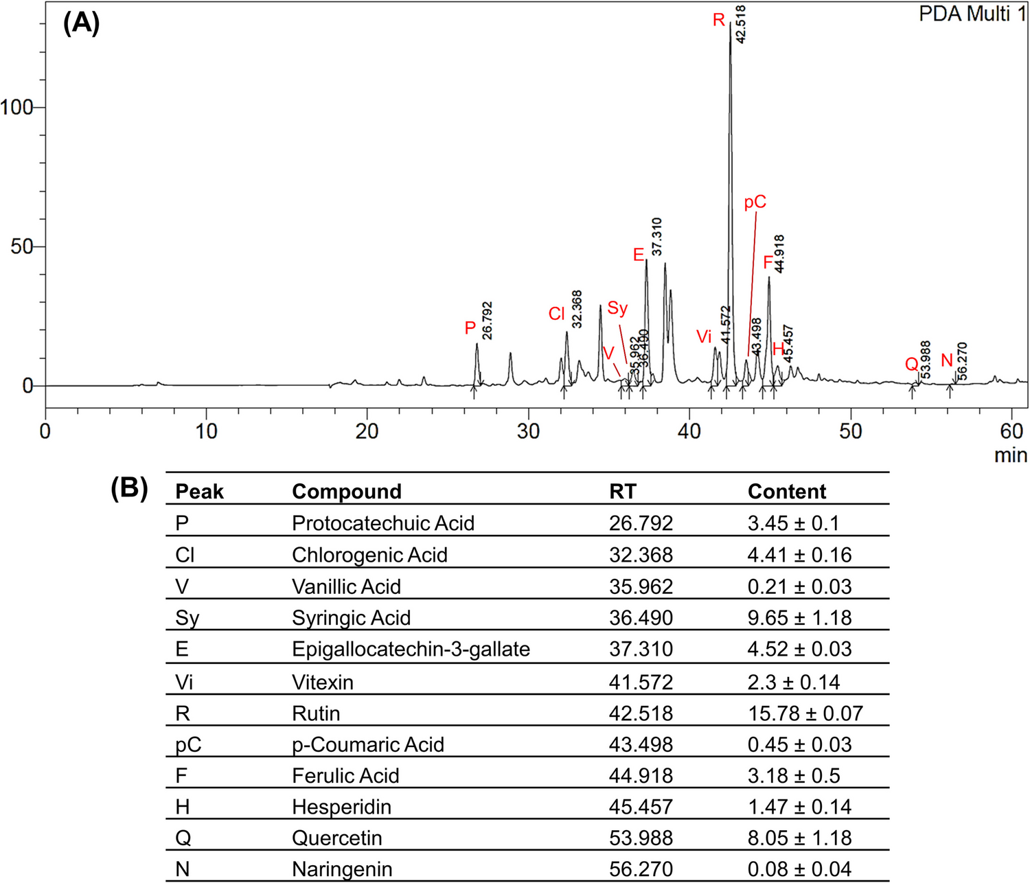 Downregulation of Glycogen Synthase Kinase-3 Beta by  L. Contributes to Neuroprotection Against Aluminum Chloride-Mediated Neurotoxicity in Zebrafish Larvae