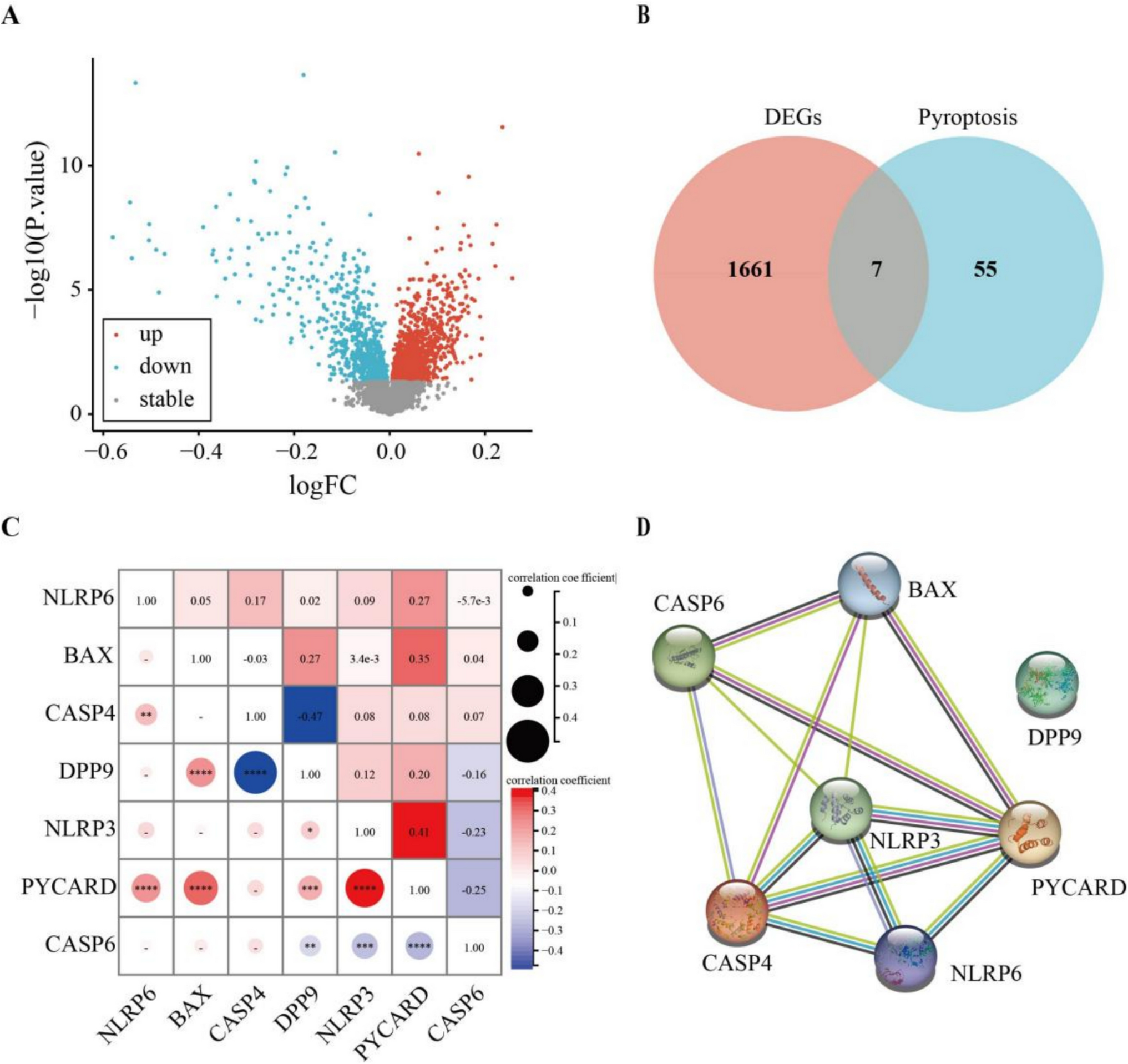 Using Blood-Based Biomarkers to Facilitate the Diagnosis of Alzheimer’s Disease: Insights from a Novel Pyroptosis-Associated Molecular Signature Model
