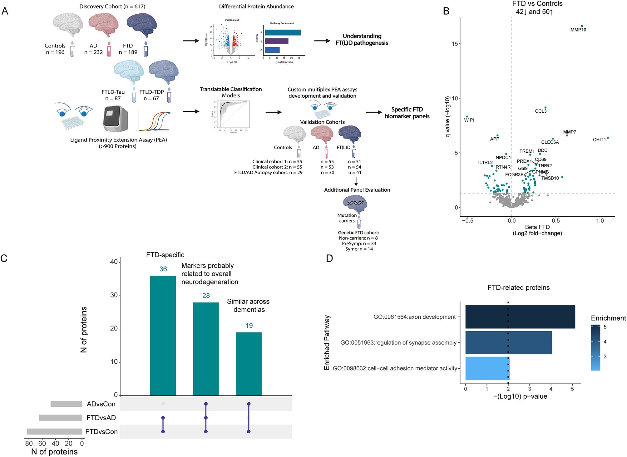 Large-scale CSF proteome profiling identifies biomarkers for accurate diagnosis of frontotemporal dementia