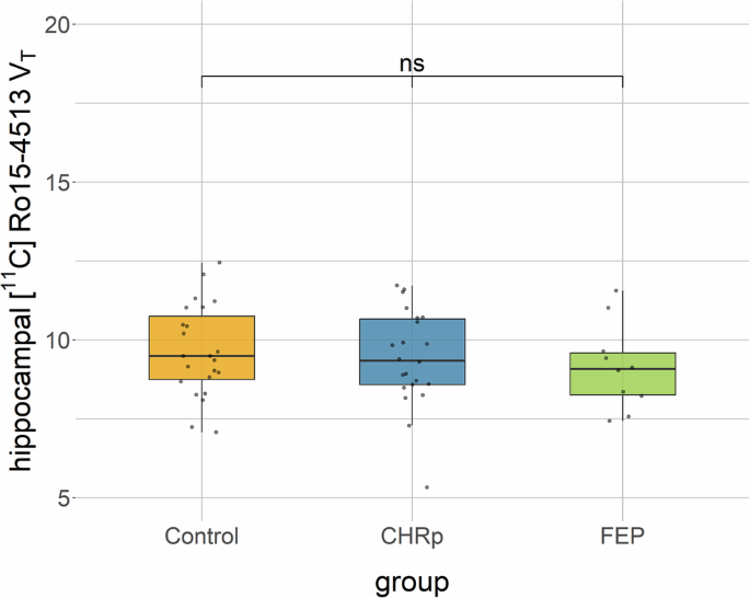 GABAA receptor availability in clinical high-risk and first-episode psychosis: a [11C]Ro15-4513 positron emission tomography study