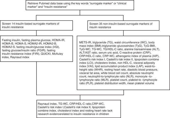 Insulin resistance in school-age children: comparison surrogate diagnostic markers