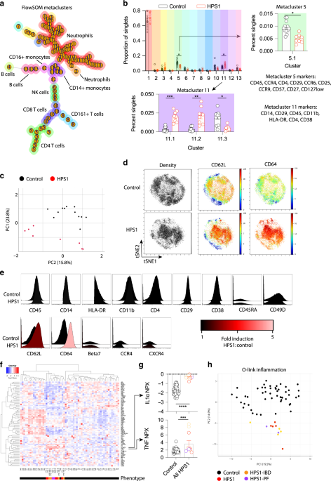 Hermansky-Pudlak syndrome type 1 causes impaired anti-microbial immunity and inflammation due to dysregulated immunometabolism