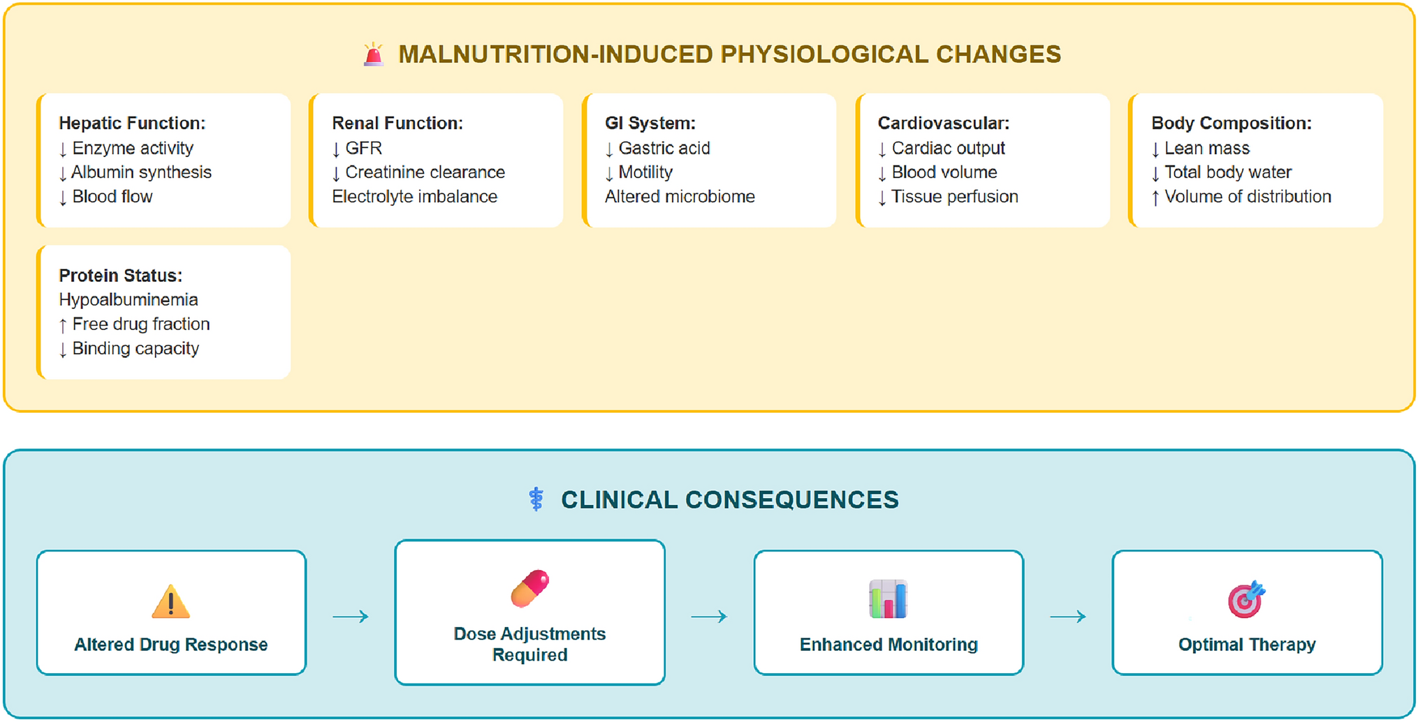 Malnutrition and Its Effect on Drug Pharmacokinetics: A Clinical Perspective