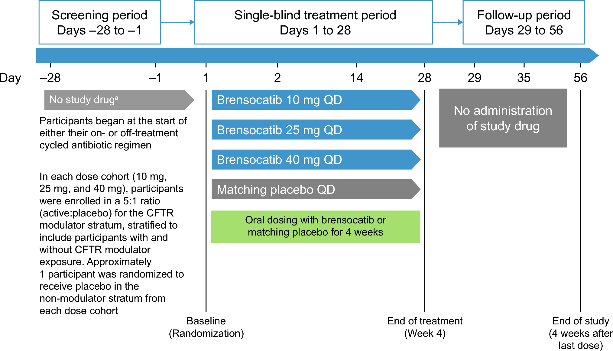 A Phase IIa, Single-Blind, Placebo-Controlled, Parallel-Group Study to Assess Safety, Tolerability, and Pharmacokinetics/Pharmacodynamics of Brensocatib in Adults with Cystic Fibrosis