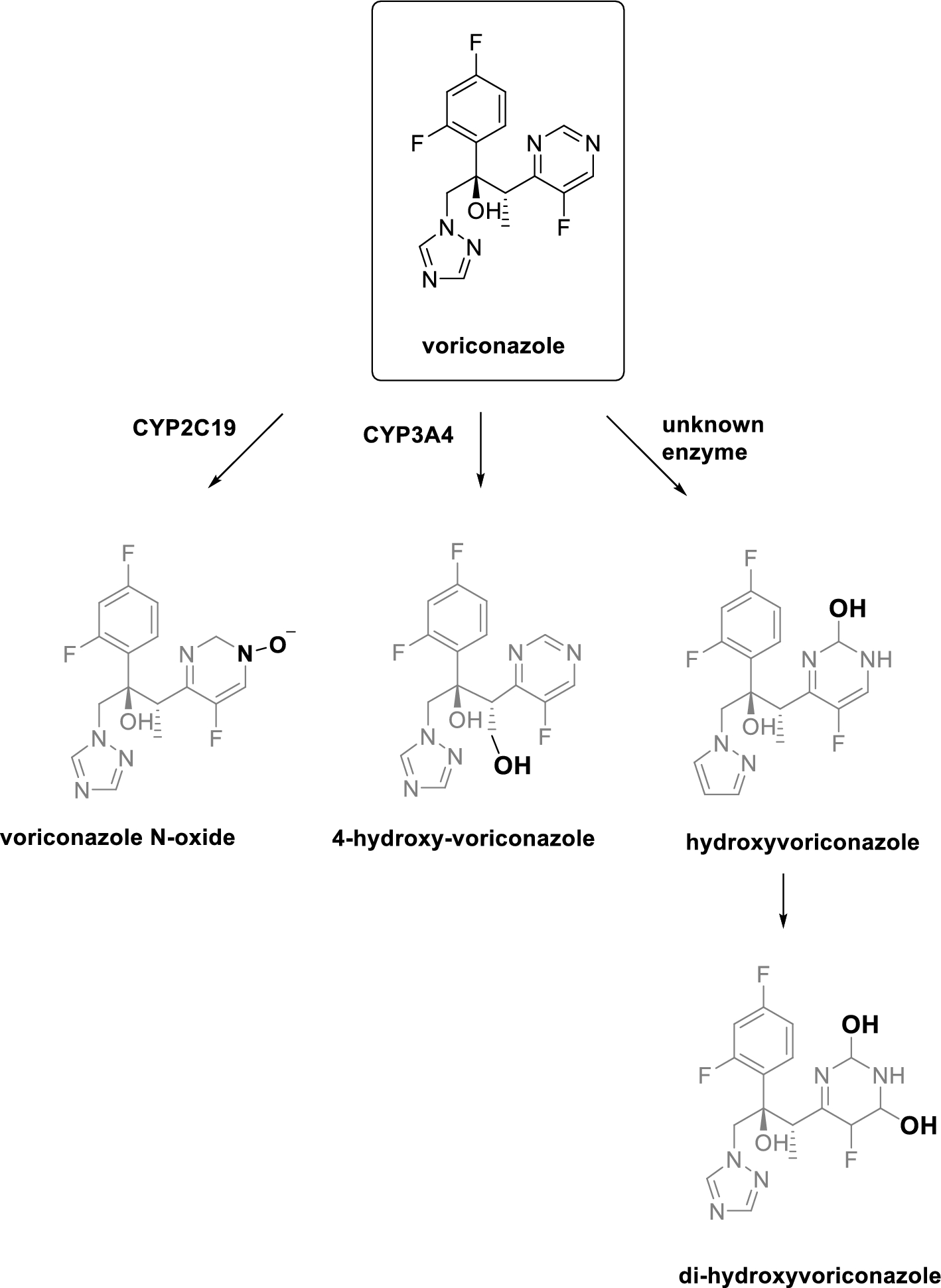 Comment on “Understanding Voriconazole Metabolism: A Middle-Out Physiologically-Based Pharmacokinetic Modelling Framework Integrating In Vitro and Clinical Insights”