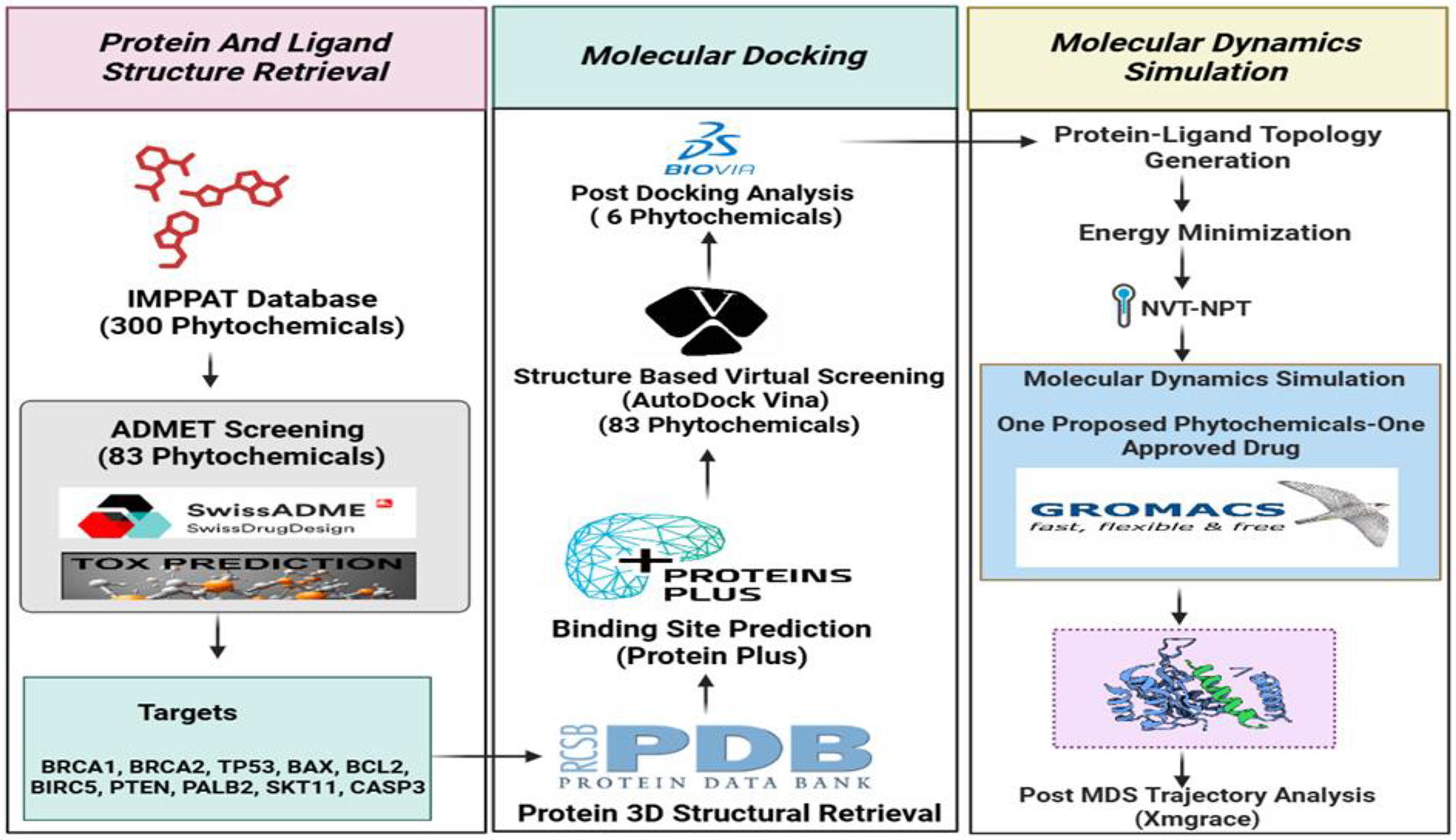 Indian medicinal phytocompounds for targeting apoptosis and high-penetrance genes in triple-negative breast cancer: an in-silico exploration