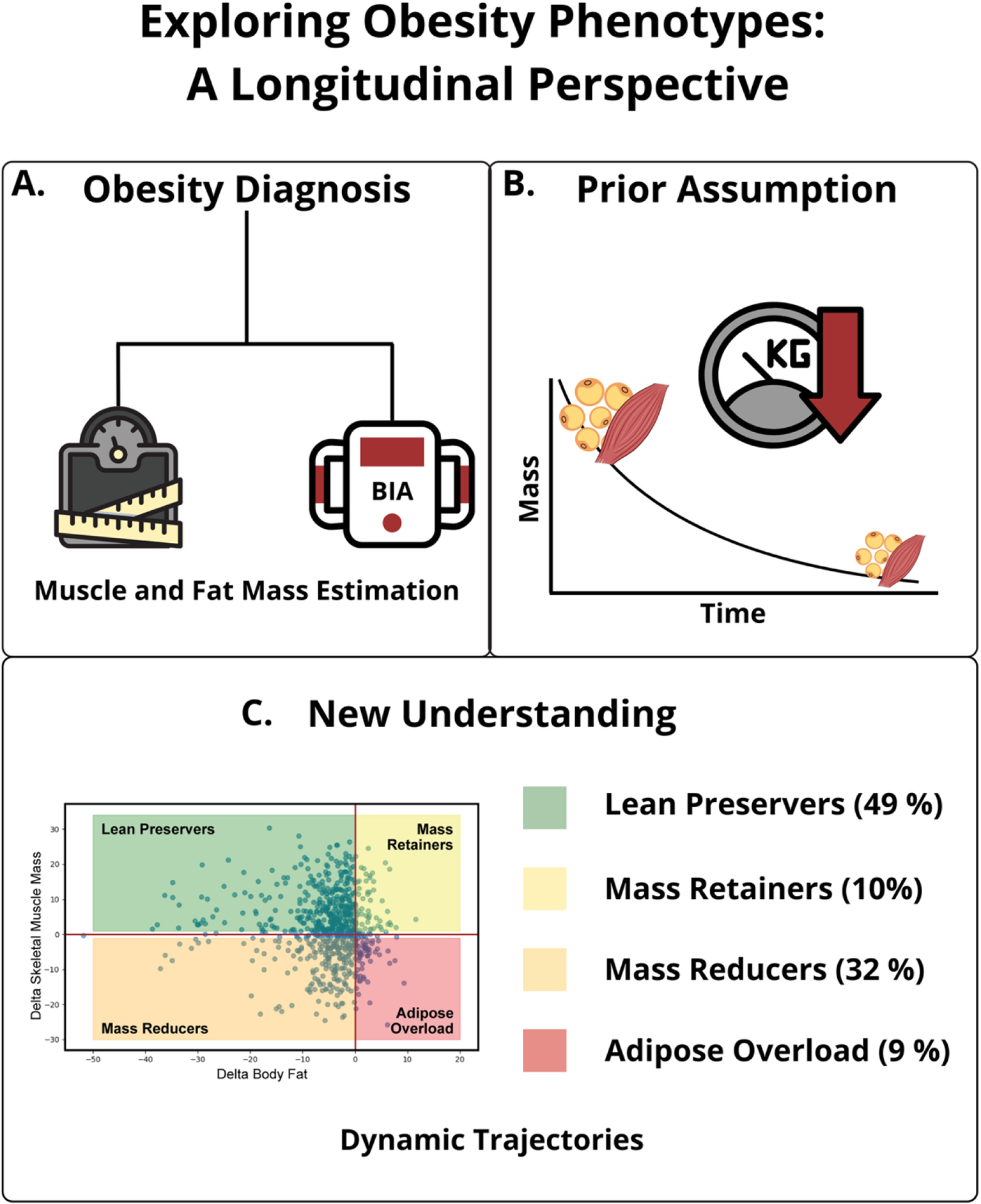 Exploring obesity phenotypes: a longitudinal perspective
