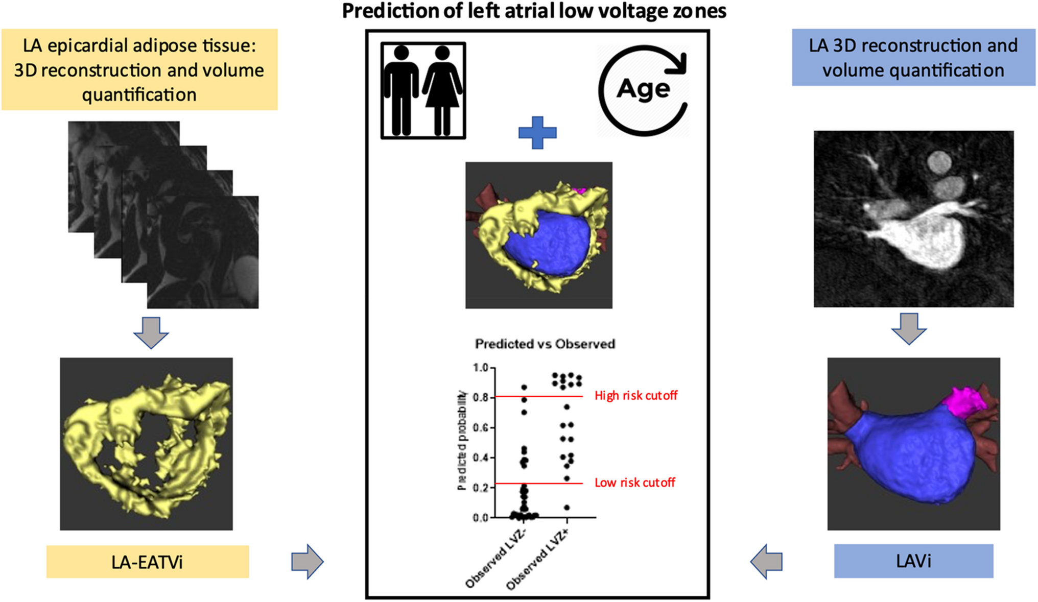 Left atrial epicardial adipose tissue volume quantification by CMR aids identification of patients at low risk for left atrial cardiomyopathy