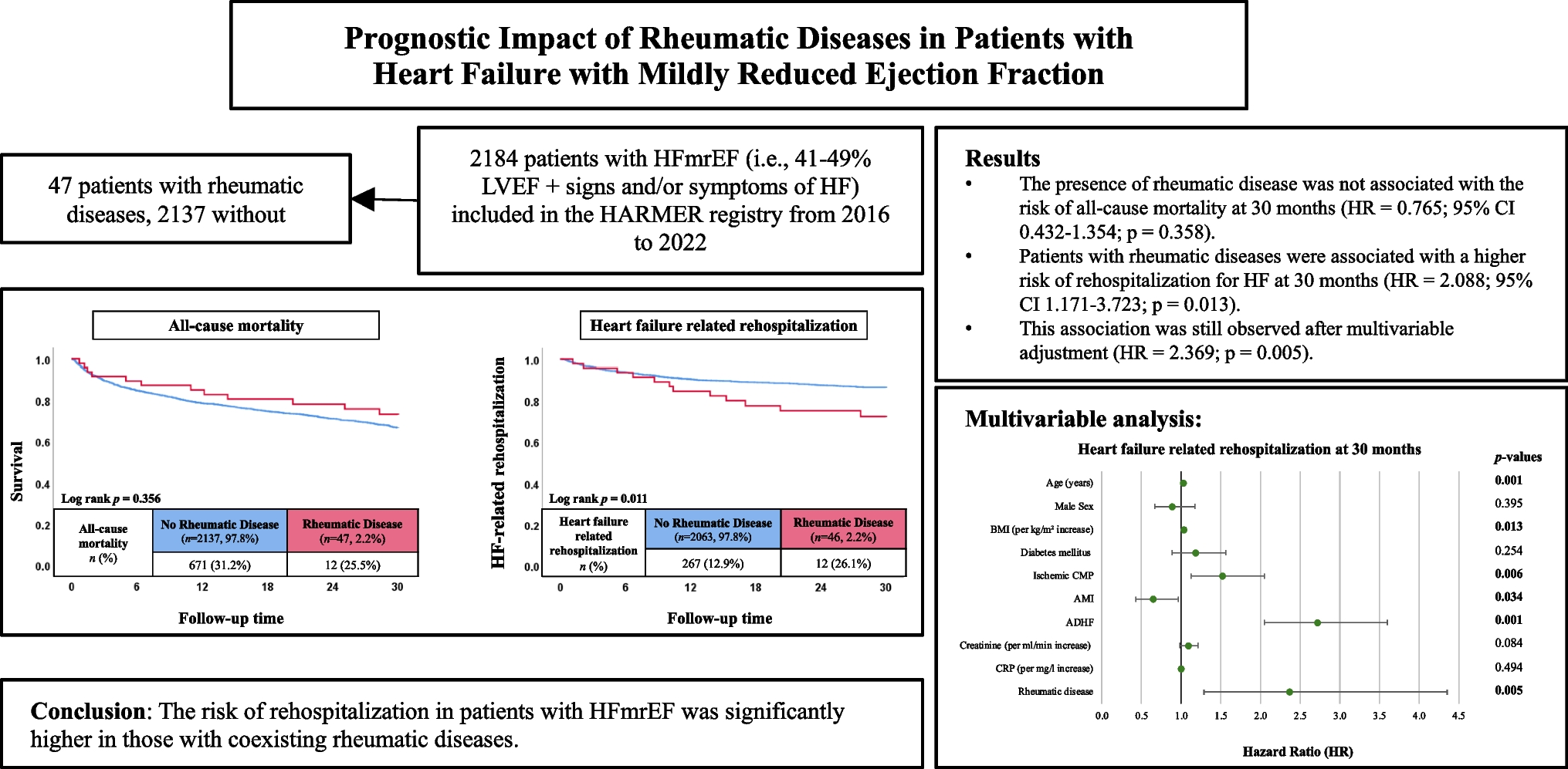 Prognostic impact of rheumatic diseases in patients with heart failure with mildly reduced ejection fraction