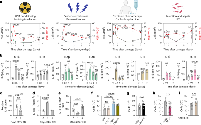 Damage-induced IL-18 stimulates thymic NK cells limiting endogenous tissue regeneration
