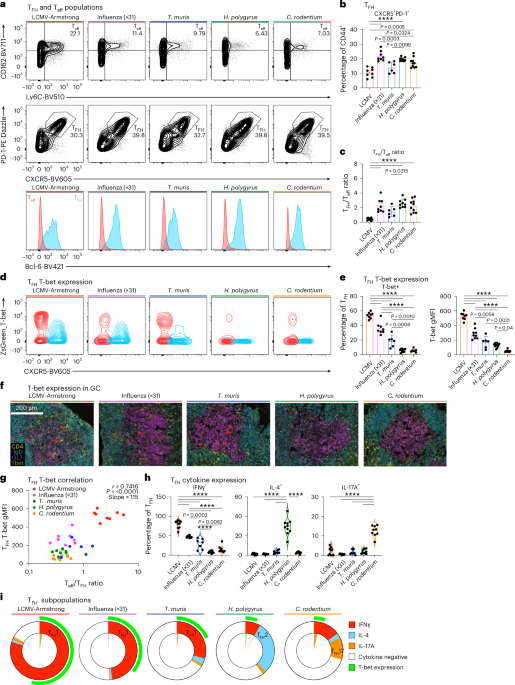 Divergent cytokine and transcriptional signatures control functional T follicular helper cell heterogeneity