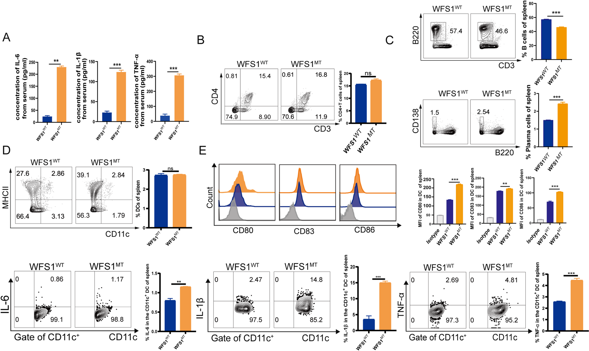 WFS1 Gene Mutation (c.2389G > A) Induces Immune Disorders by Promoting DC Maturation through Inhibition of