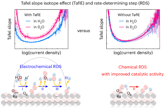Isotope-dependent Tafel analysis probes proton transfer kinetics during electrocatalytic water splitting
