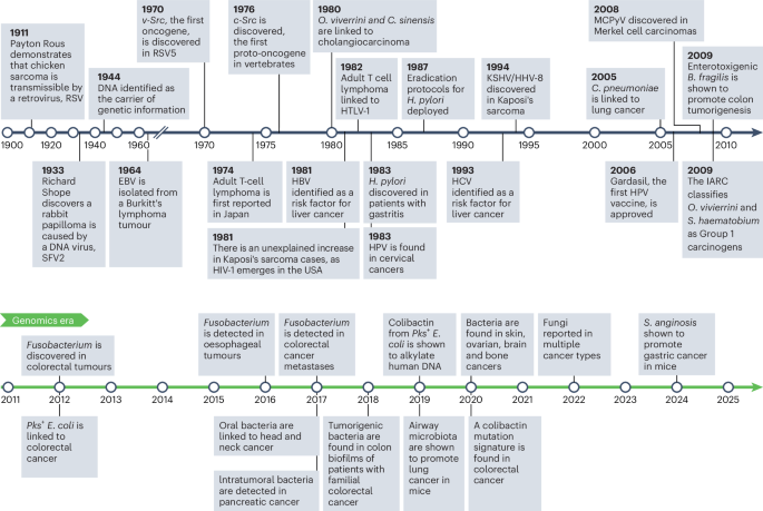 The multi-kingdom cancer microbiome