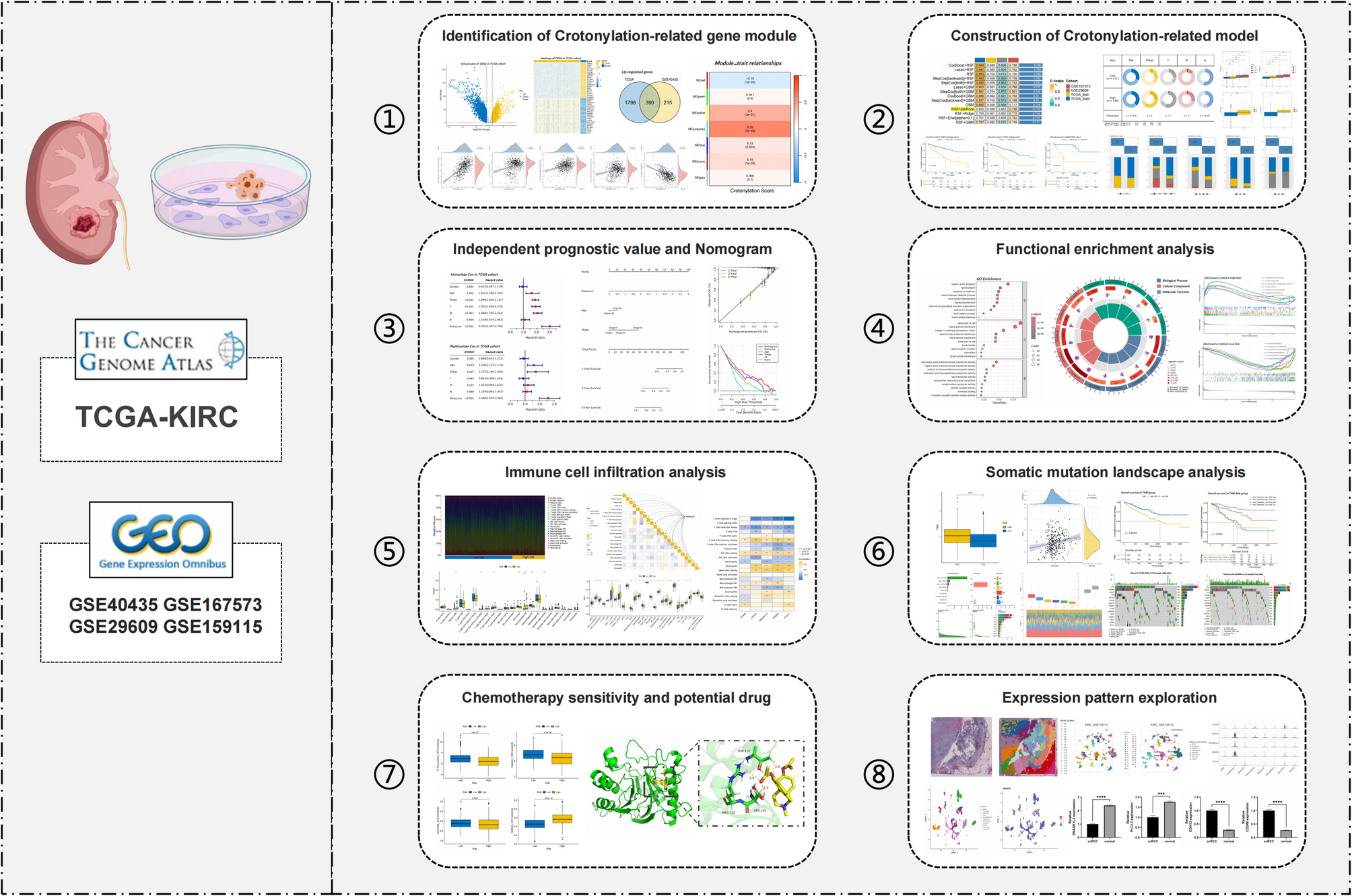Machine learning model in multi-omics perspective demystifies the prognostic significance of crotonylation heterogeneity in clear cell renal cell carcinoma