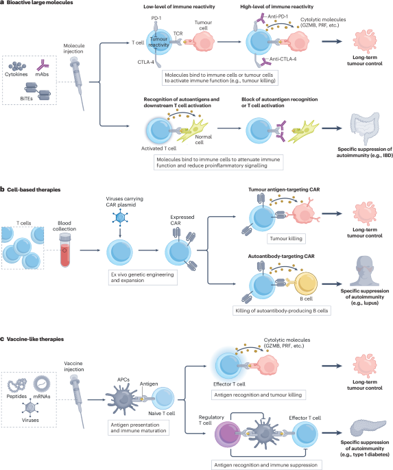 Microsystem technologies for accelerating the discovery and translation of immunotherapies