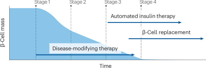 Twenty years of progress in type 1 diabetes mellitus