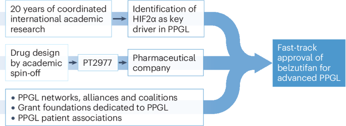 FDA fast-track approval of belzutifan is a milestone in rare cancer therapy