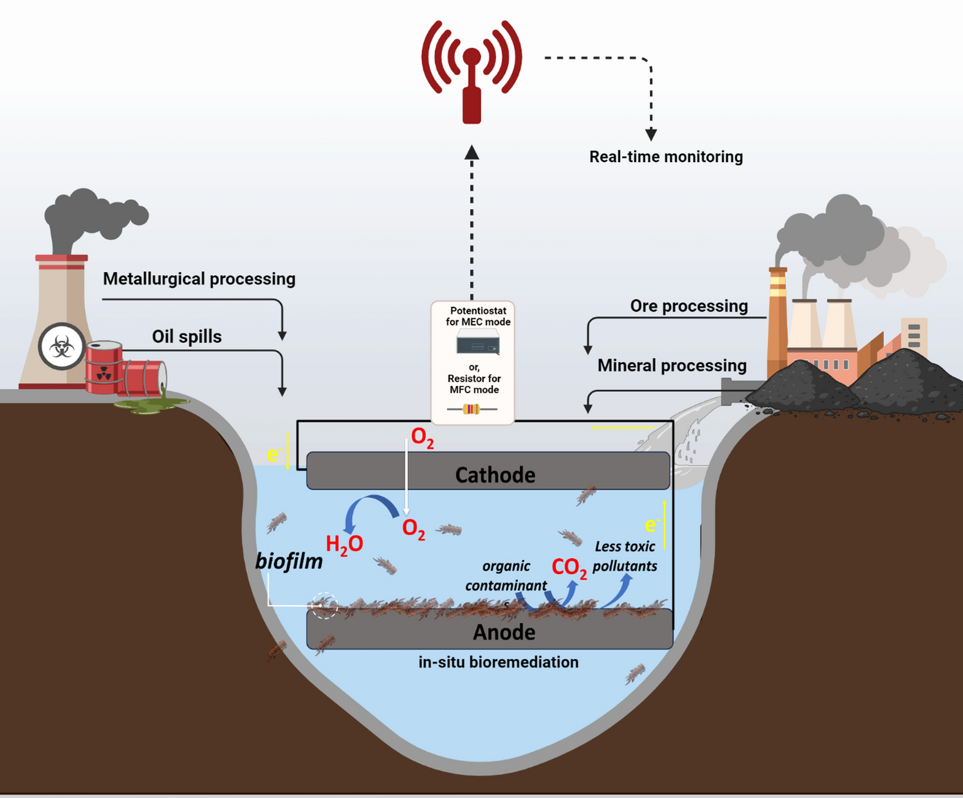 Bioremediation meets biosensing: leveraging microbial electrochemical cell-based biosensors