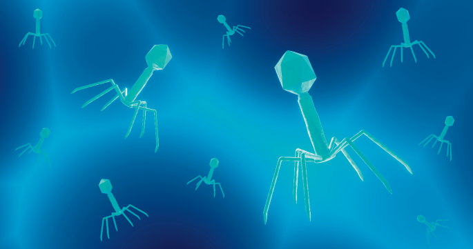 Prophage against phage