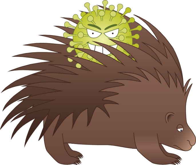 Zoonotic threats hidden in wildlife