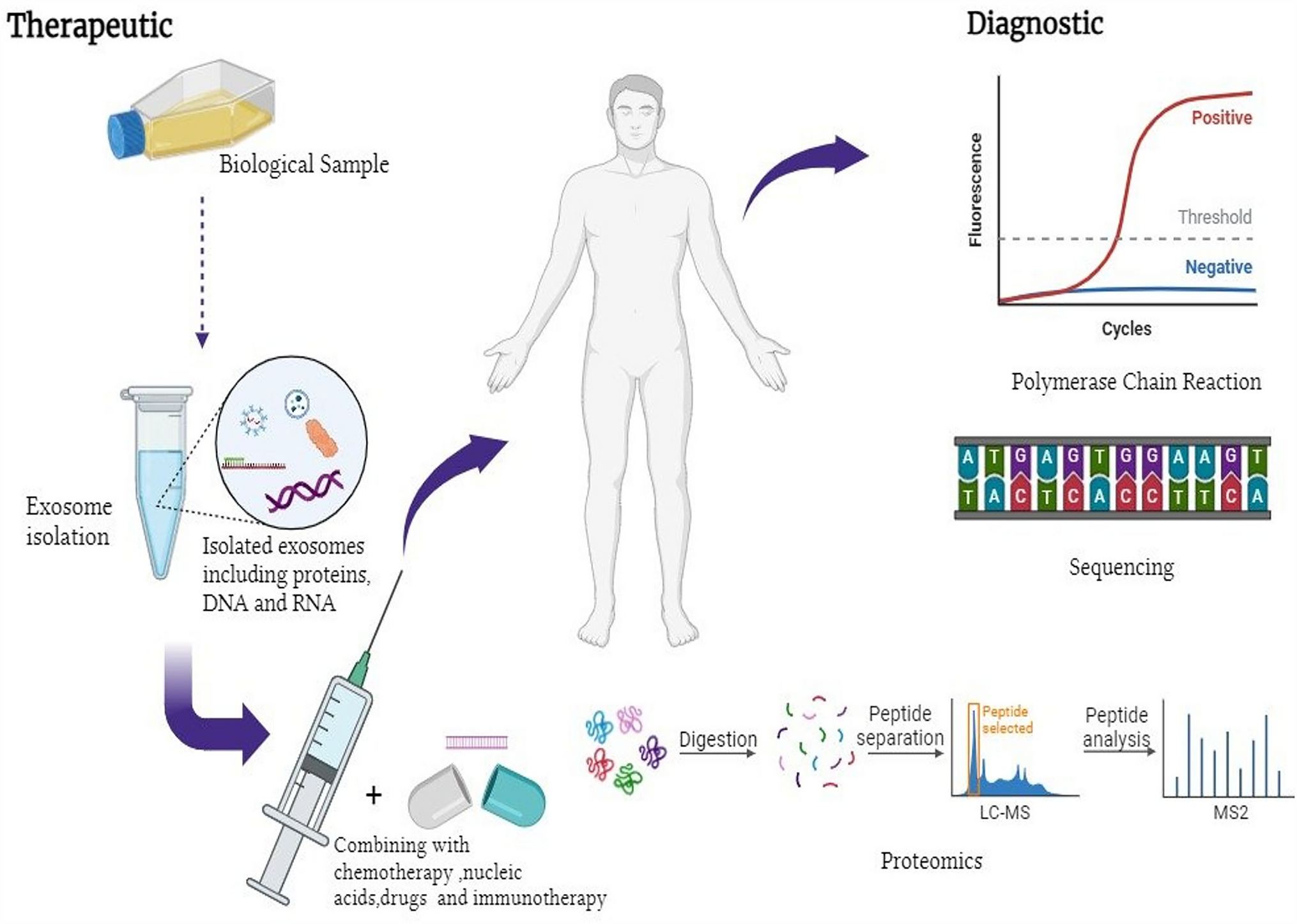 Unveiling the intricacies of exosome biology: from biogenesis to therapeutic applications