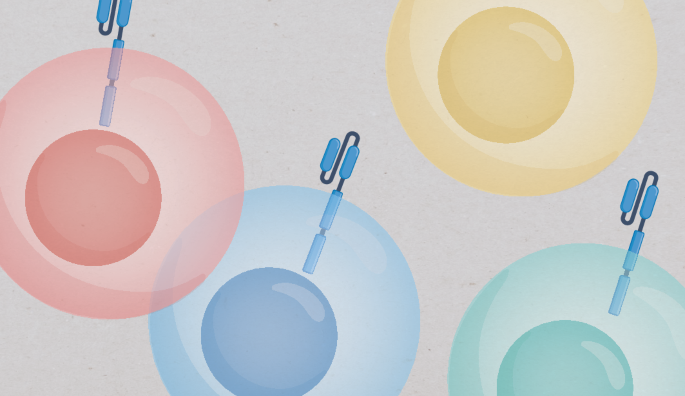 PDGFRβ CAR T cells improve fibrosis in kidney disease models