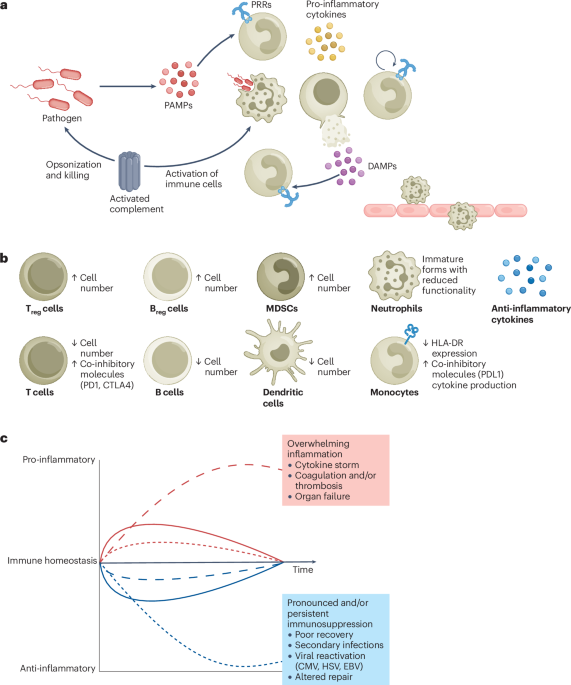 The immunology of sepsis: translating new insights into clinical practice