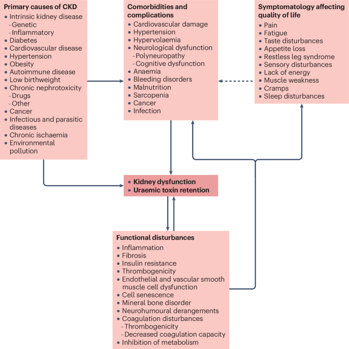 A guide to uraemic toxicity