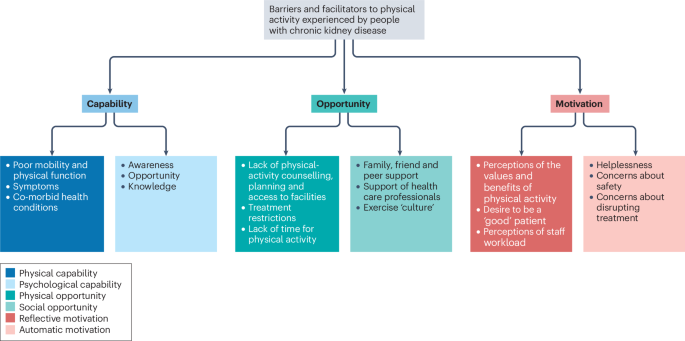Physical activity in kidney disease: evidence and implementation