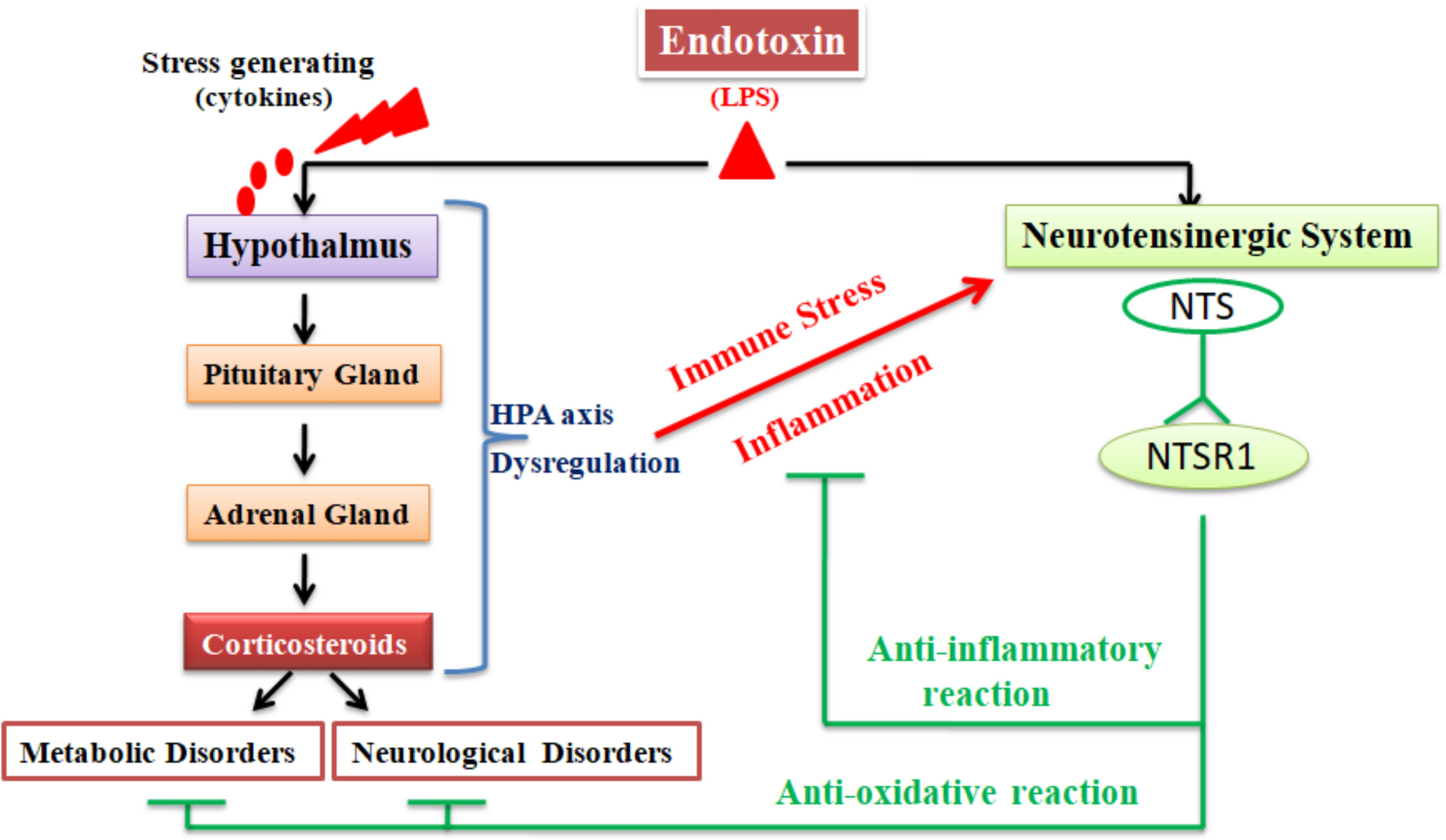 Exploring Therapeutic Potential: An Insight into Neurotensin Modulation of Endotoxemia Driven Hypothalamic Pituitary Adrenal Axis Dysfunction