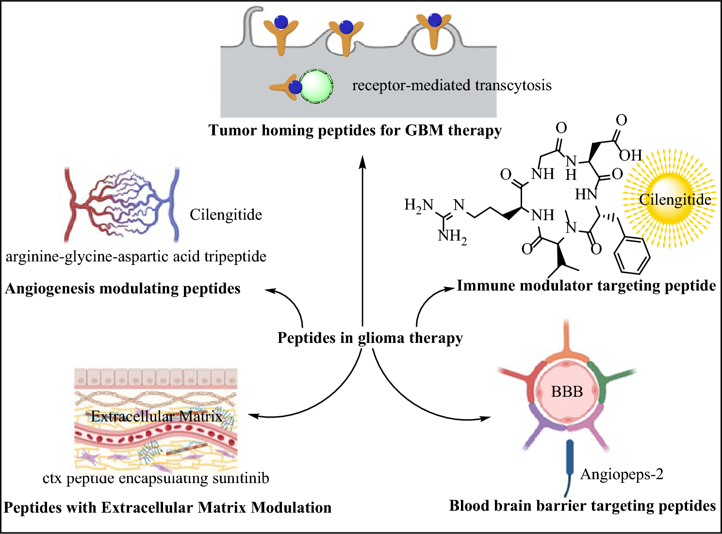 Anticancer Therapy Against Glioma by Peptide-Based Therapeutics