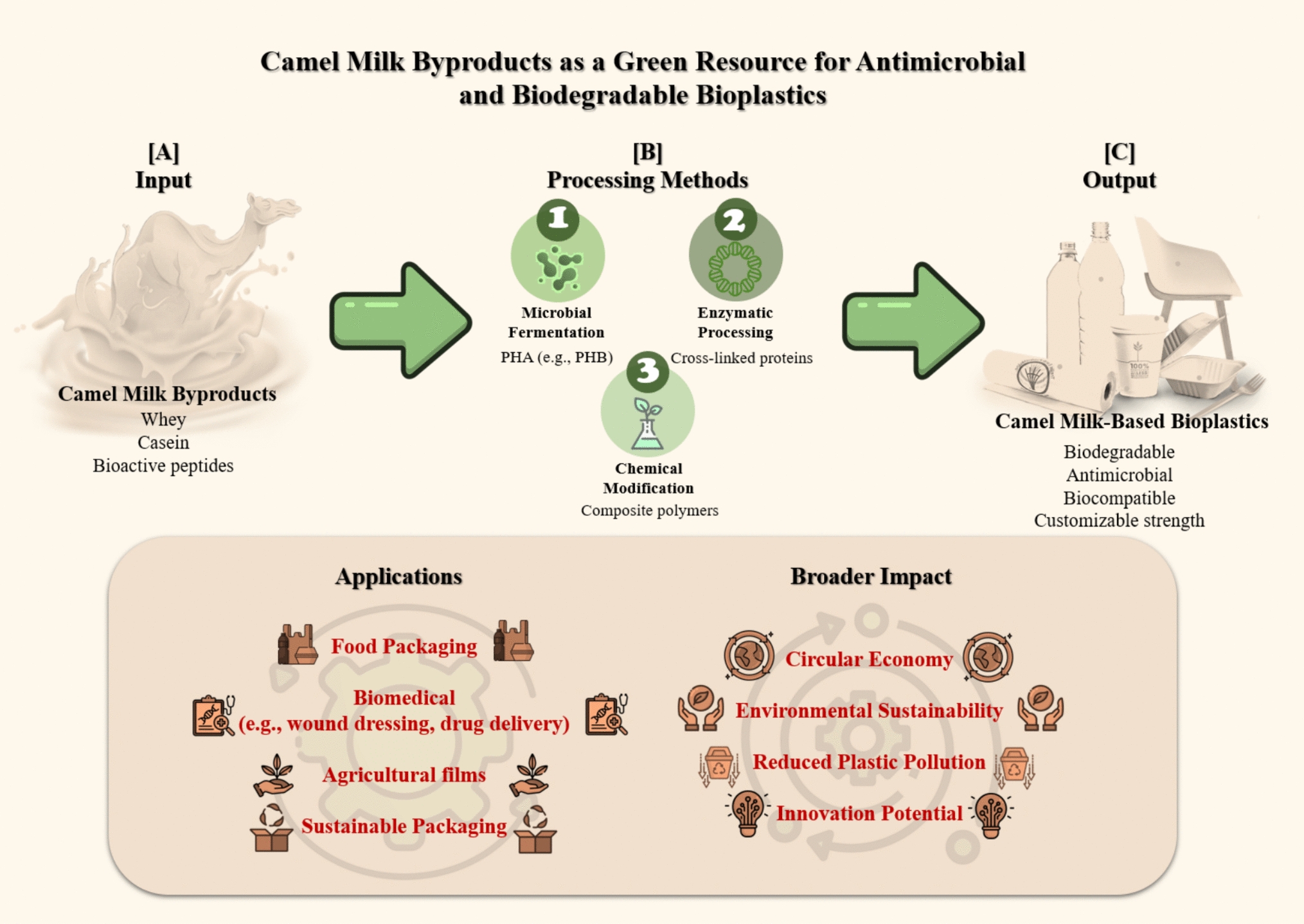 Camel Milk Byproduct Peptides as Green Antimicrobial Agents in Biodegradable Packaging Materials: A Comprehensive Review
