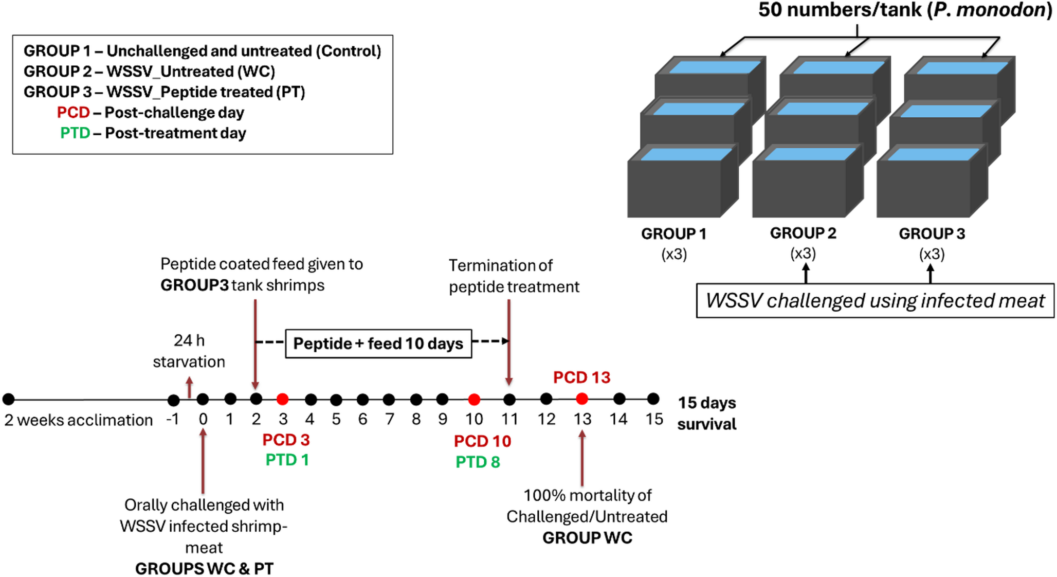 Antimicrobial Peptide -Crustin as a Therapeutic Agent against WSSV Infection in  Culture System, Conferring Better Protection and Survival