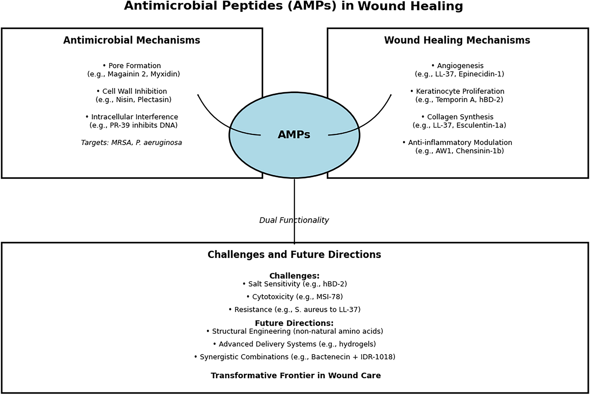 Antimicrobial Peptides (AMPs): A Breakthrough Approach for Wound Healing and Infection Control
