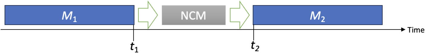 Functional Engagement as the Hallmark of Occurrent States