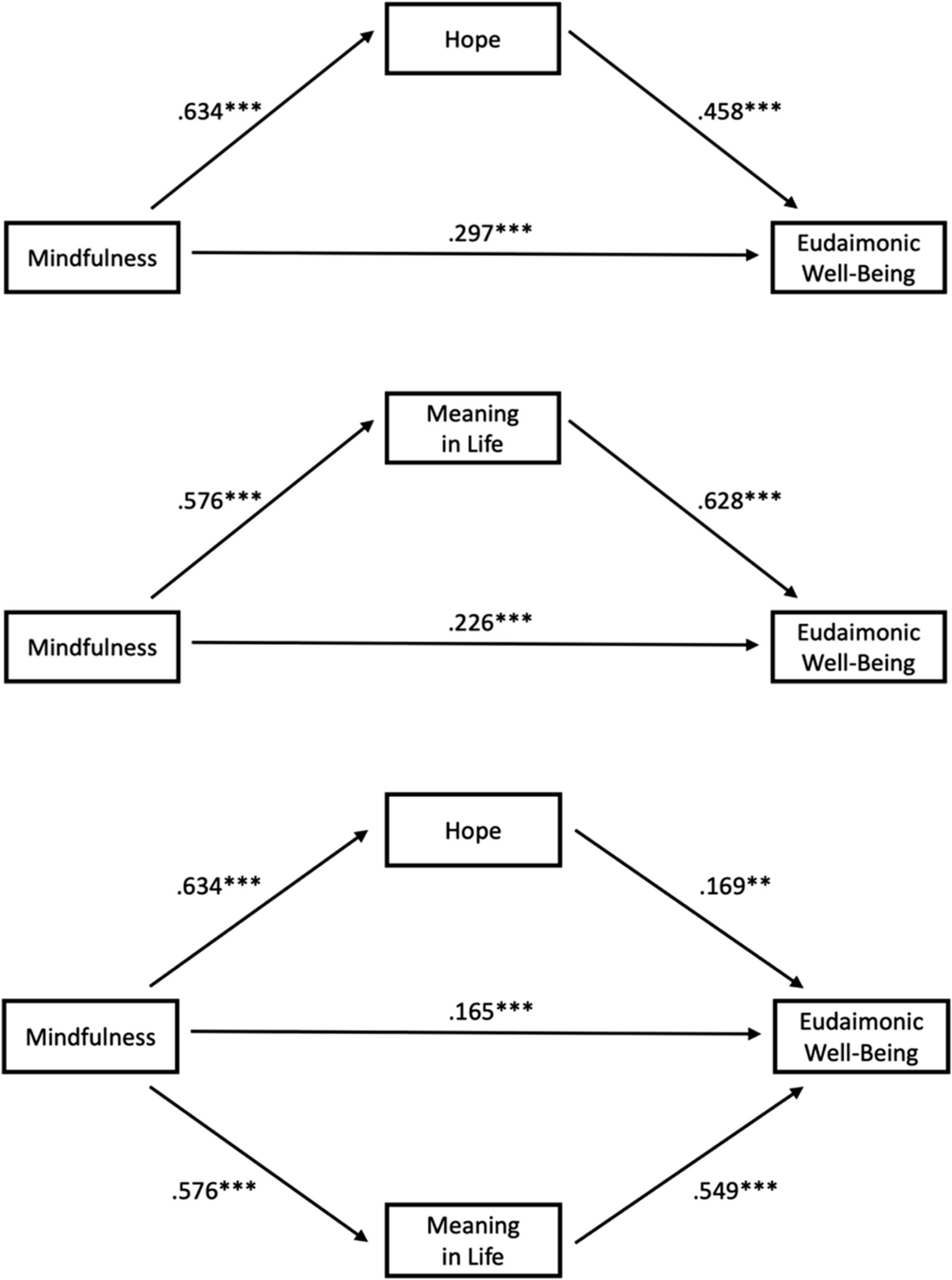 Relationship between Mindfulness and Eudaimonic Well-Being in a Thai Adult Sample: Roles of Hope and Meaning in Life