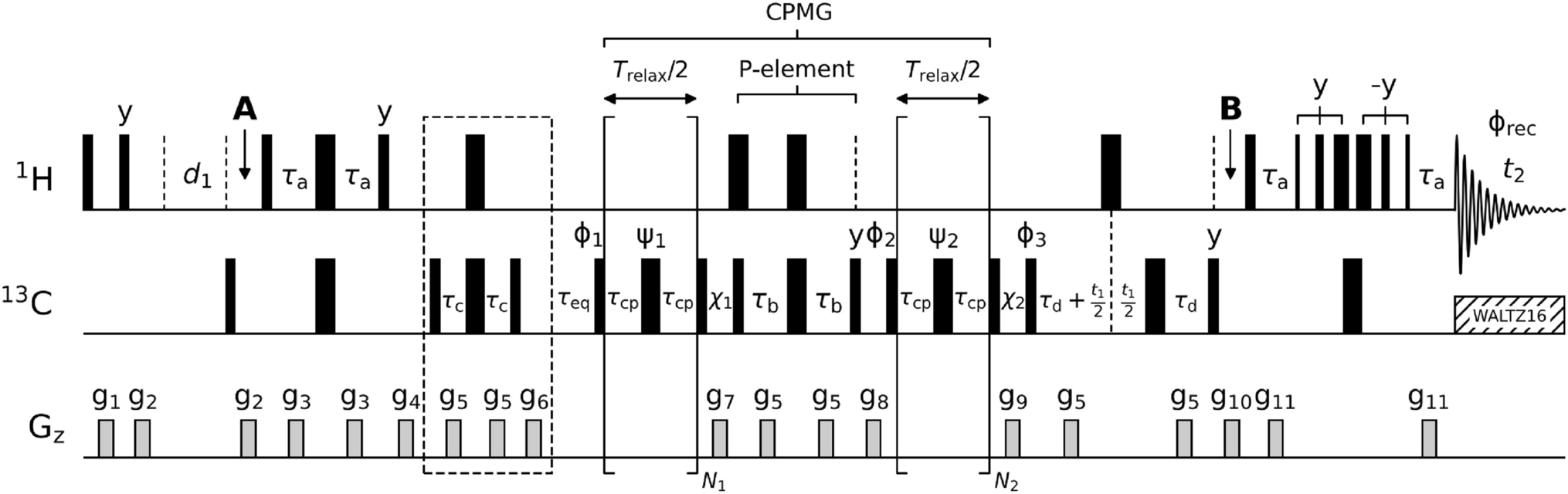 An optimized C single-quantum CPMG relaxation dispersion experiment for investigating microsecond-to-millisecond timescale dynamics in large proteins